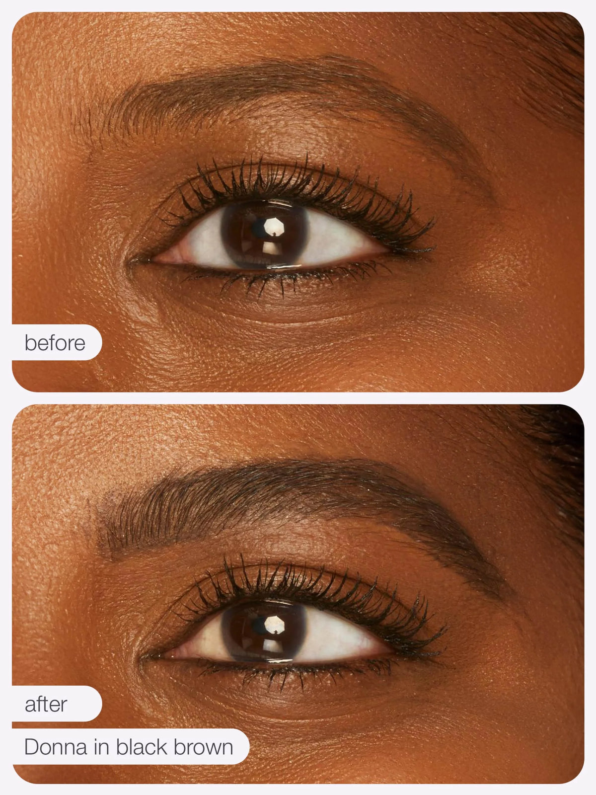 maneater™ emphasEYES™ high definition brow