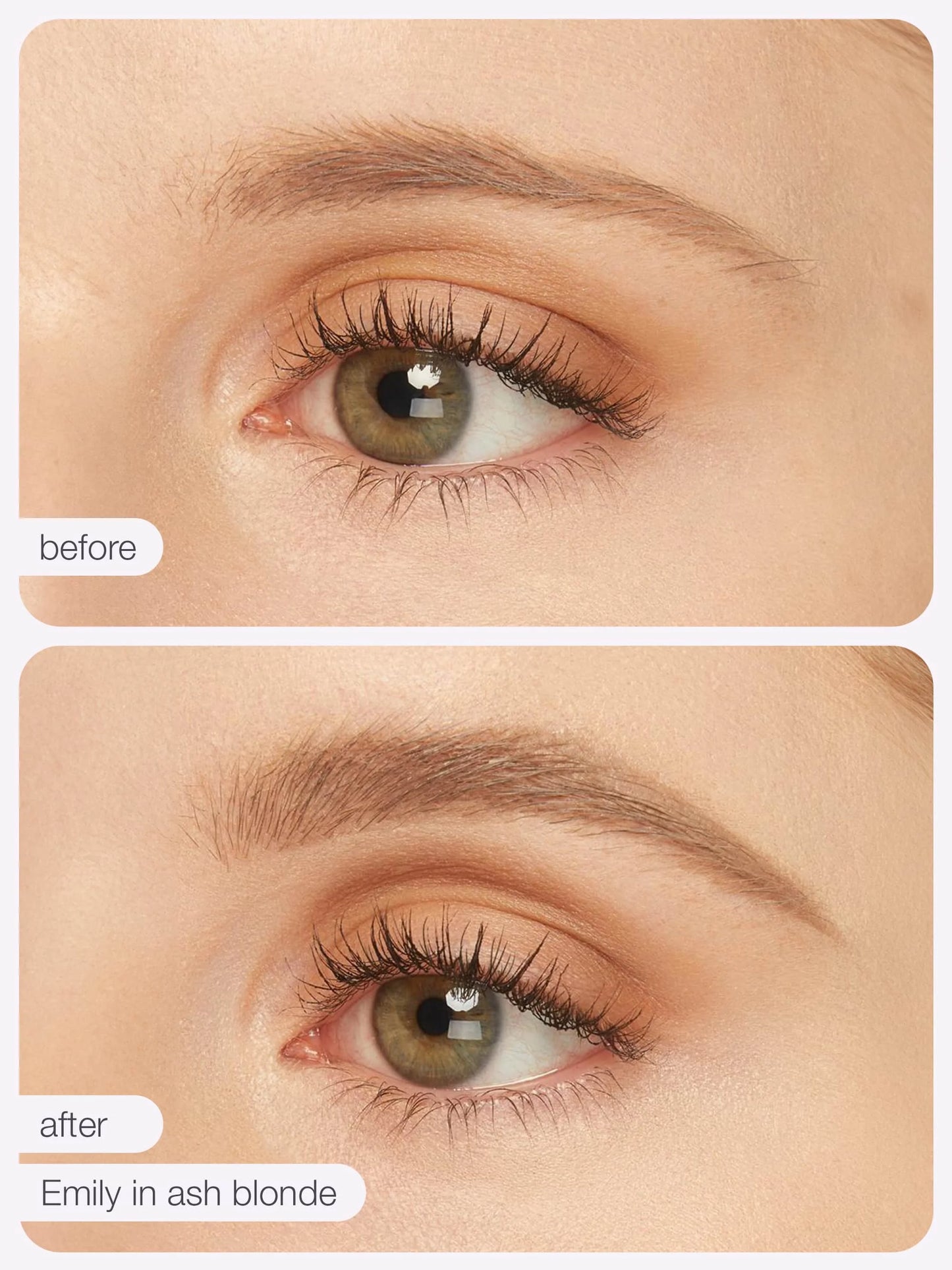 maneater™ emphasEYES™ high definition brow